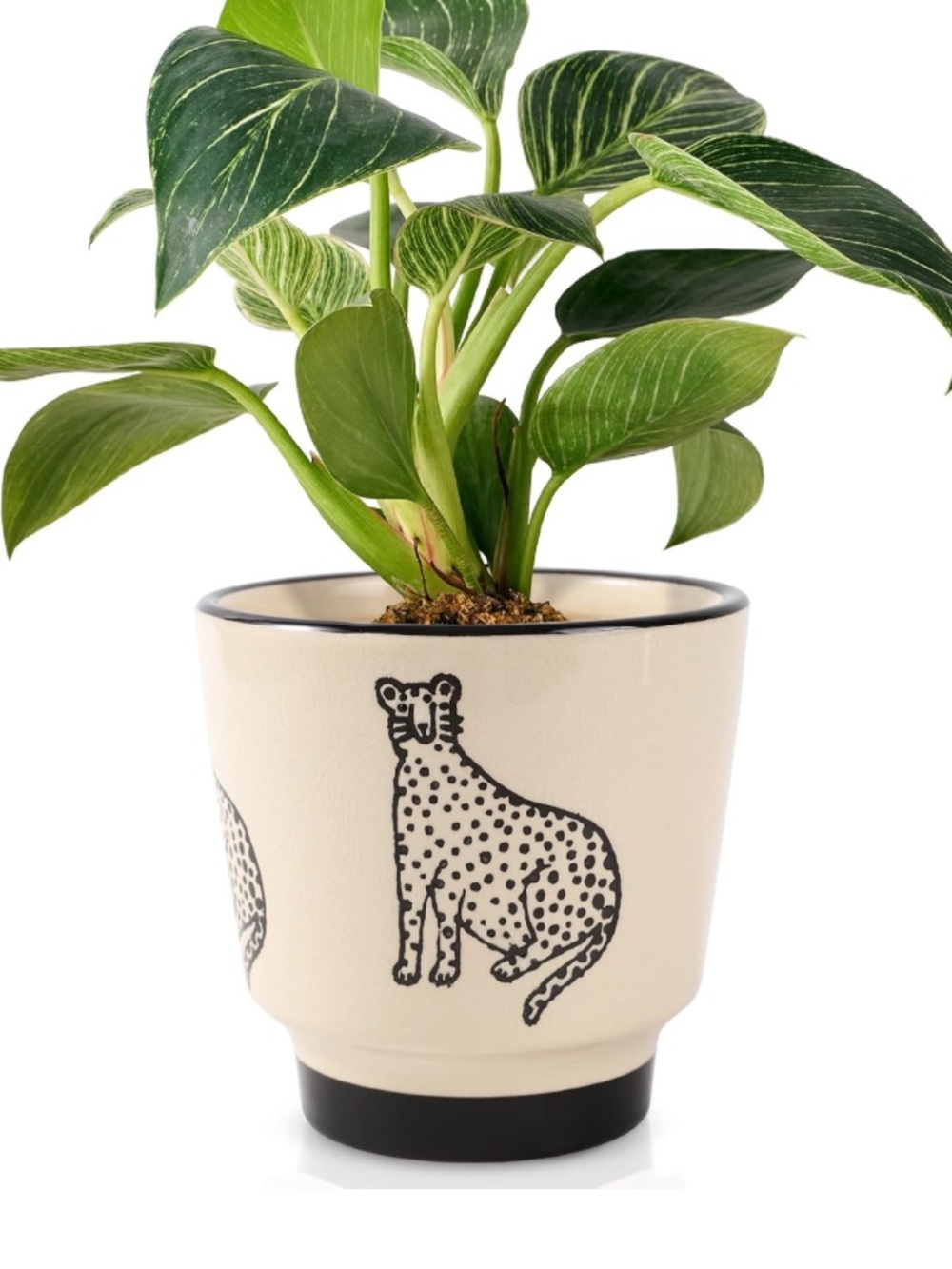 Decorative Cream Ceramic Planter with Black Cheetah Motif